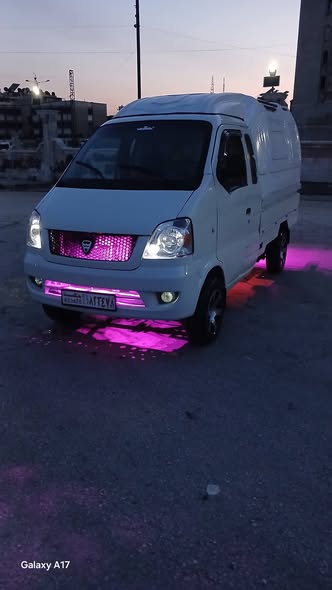 هافي ميني 2010 - صورة 4