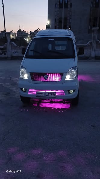 هافي ميني 2010 - صورة 5