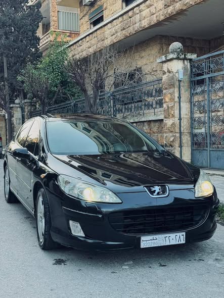 بيجو 407 2006 - صورة 4