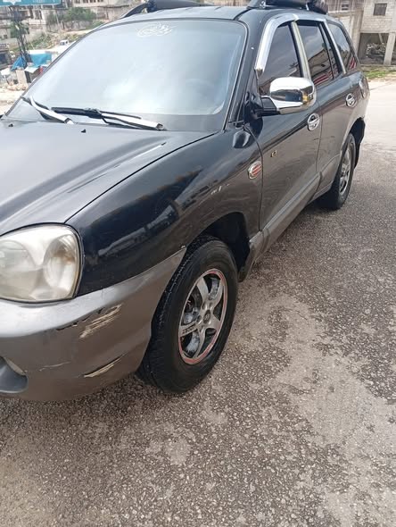 هيونداي سنتافي 2004 - صورة 2