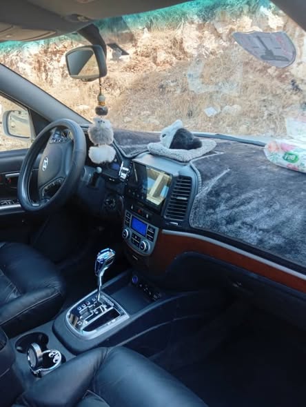 هيونداي سانتا في 2006 - صورة 3