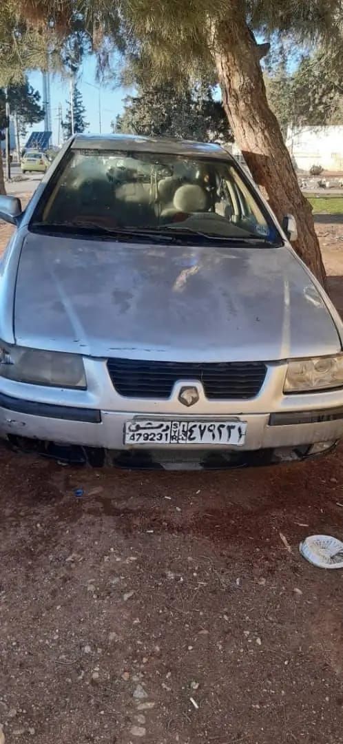 شام شام 2008 - صورة 1