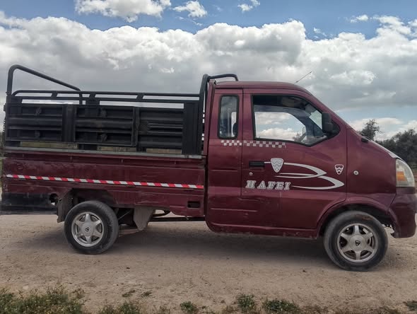 هافي مني 2009 - صورة 2