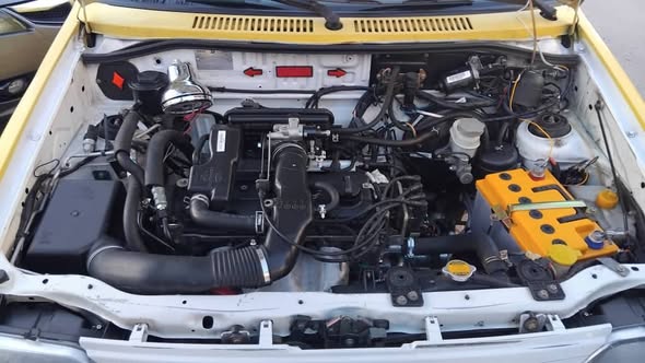 سايبا سابا 2019 - صورة 5