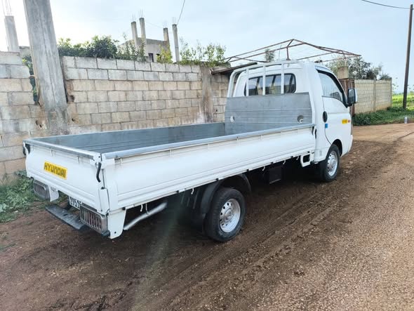 هيونداي بورتر 2010 - صورة 3