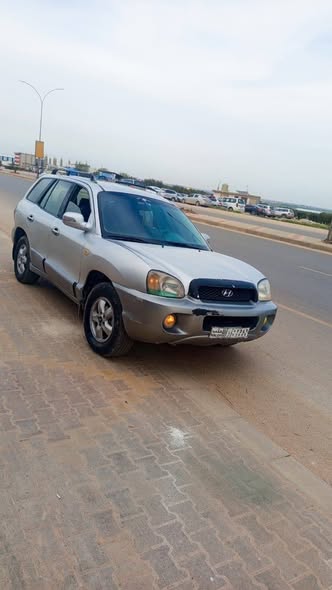 هيونداي سنتافي 2004 - صورة 2