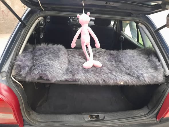 فولكس فاجن كول 2004 - صورة 2