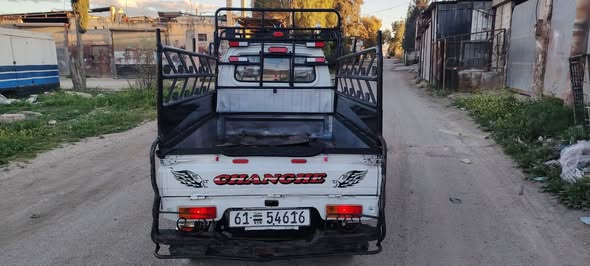 شانكهاي بيك أب 2006 - صورة 5