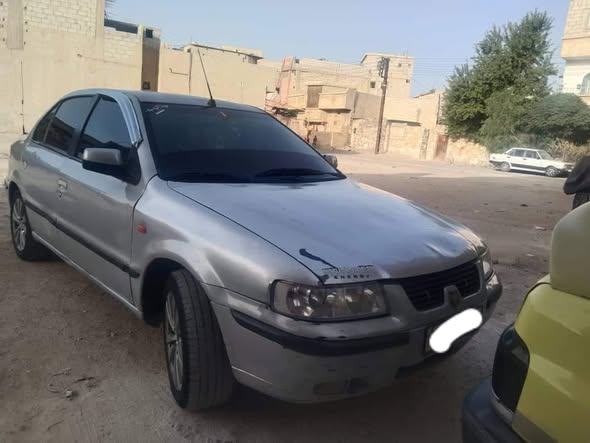 شام شام 2008 - صورة 3