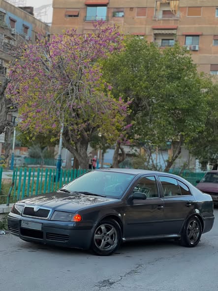 سكودا اوكتافيا تور 2008 - صورة 2