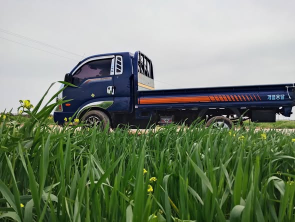 كيا بونغو 2015 - صورة 2