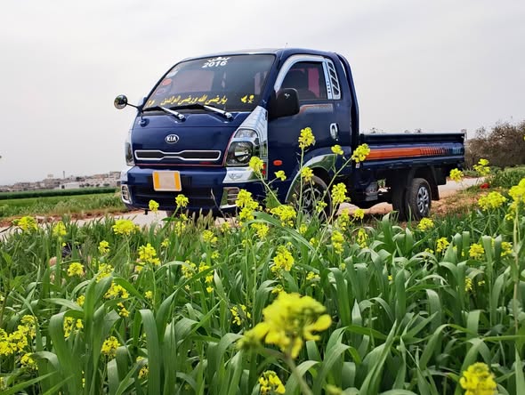 كيا بونغو 2015 - صورة 3