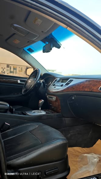 جينسس جينسس 2010 - صورة 3