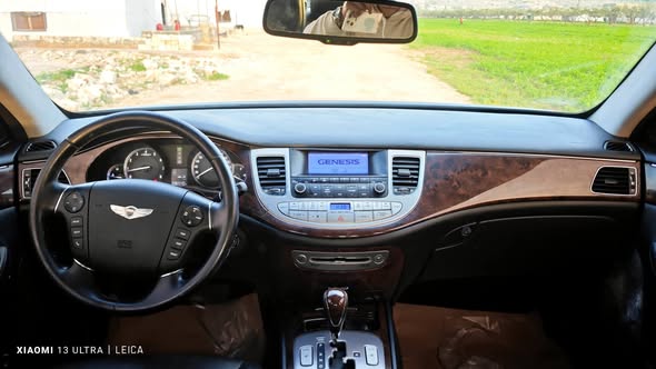 جينسس جينسس 2010 - صورة 4