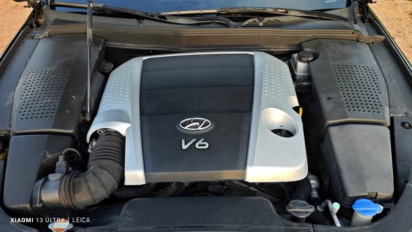 جينسس جينسس 2010 - صورة 5