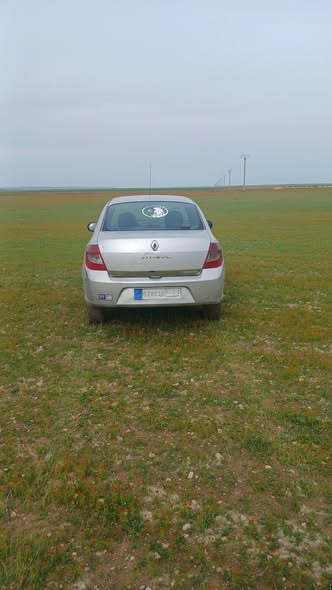 رينو سنبل 2010 - صورة 3