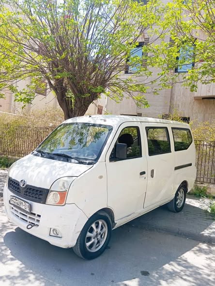 هافي لوبو 2011 - صورة 2