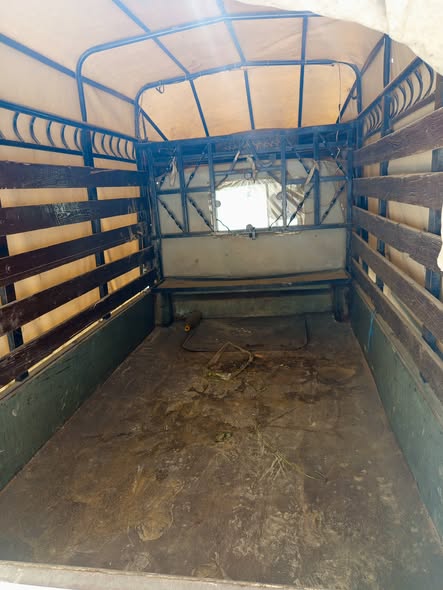 شنغهاي شنغهاي 2006 - صورة 4