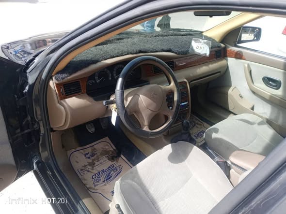 شام سيامكو 2010 - صورة 3