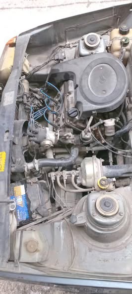 زاز دايو سولينزا 2005 - صورة 3