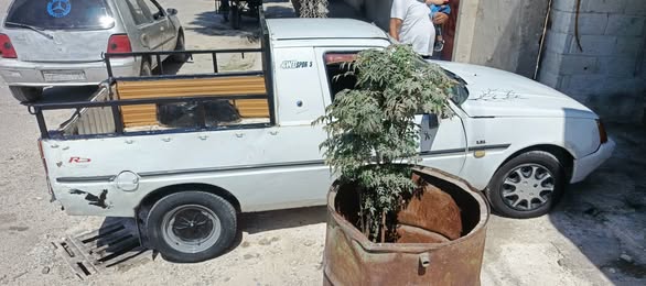 دايو مكب 2001 - صورة 5