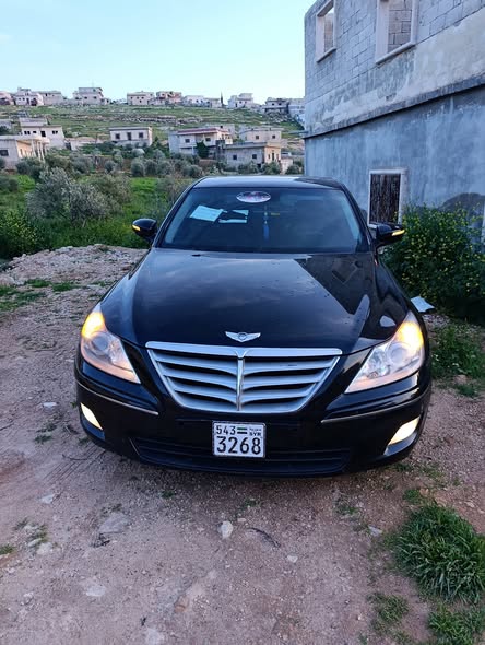 جينسس جينسس 2010 - صورة 1