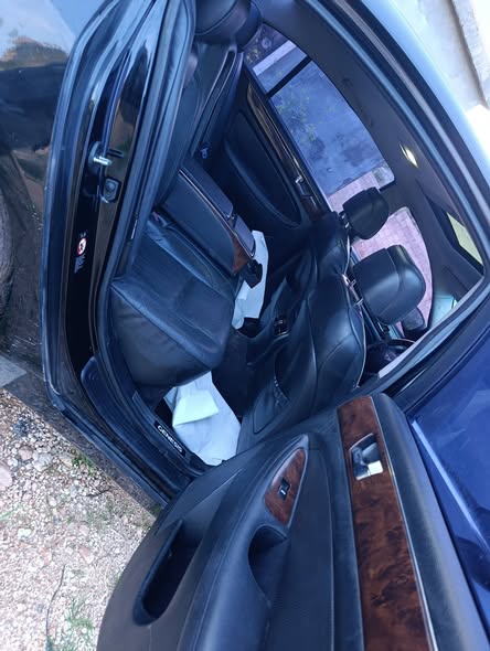 جينسس جينسس 2010 - صورة 3