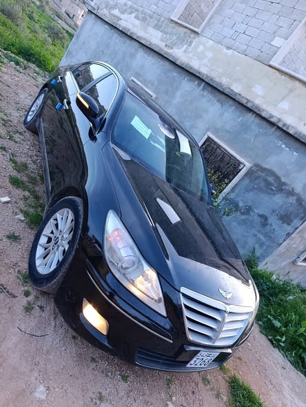 جينسس جينسس 2010 - صورة 4