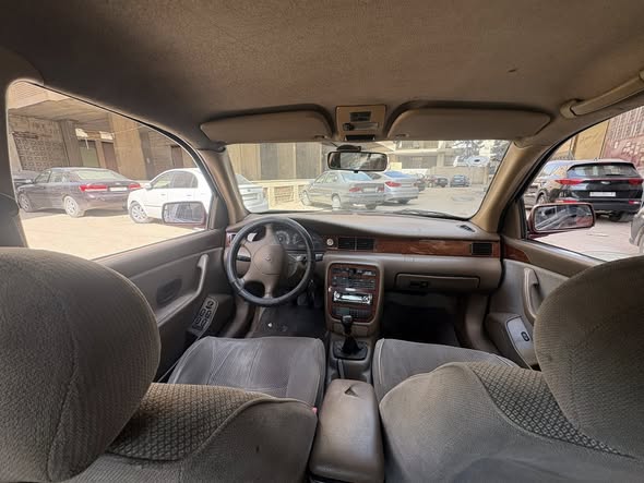 شام شام 2007 - صورة 2