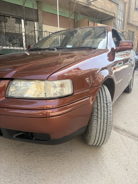 شام شام 2007 - صورة 3