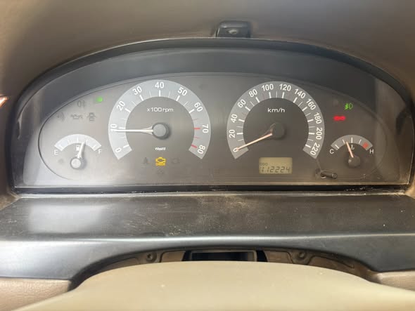 شام شام 2007 - صورة 4