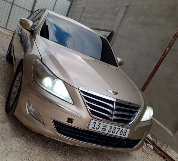 جينسيس جينسيس 2011 - صورة 3