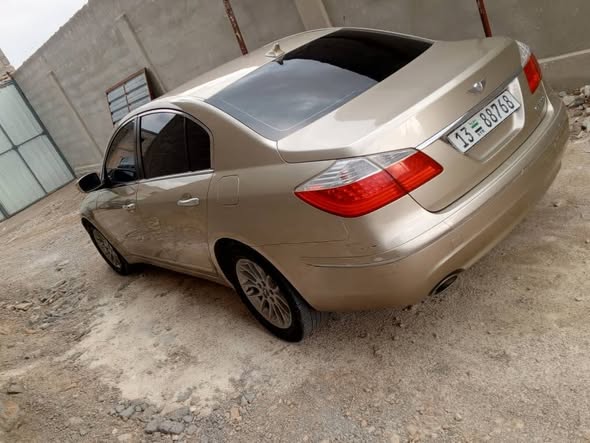 جينسيس جينسيس 2011 - صورة 4