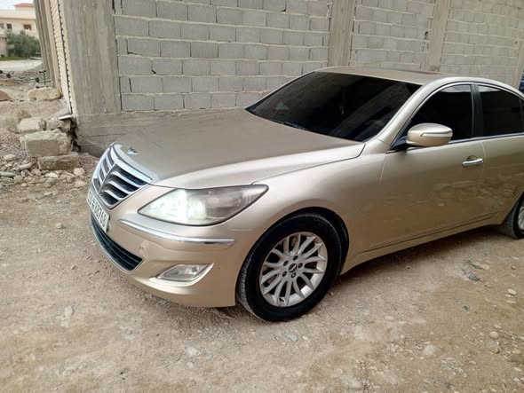 جينسيس جينسيس 2011 - صورة 5