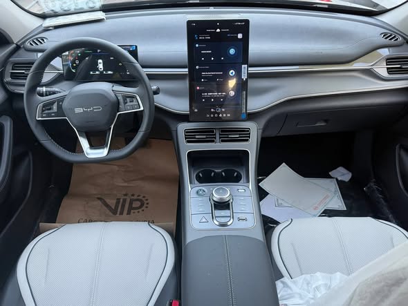 بي واي دي ديستروير 2025 - صورة 2