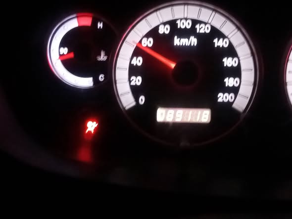 شانا بيني 2009 - صورة 1