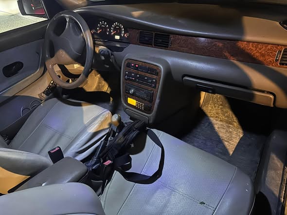 شام شام 2008 - صورة 1