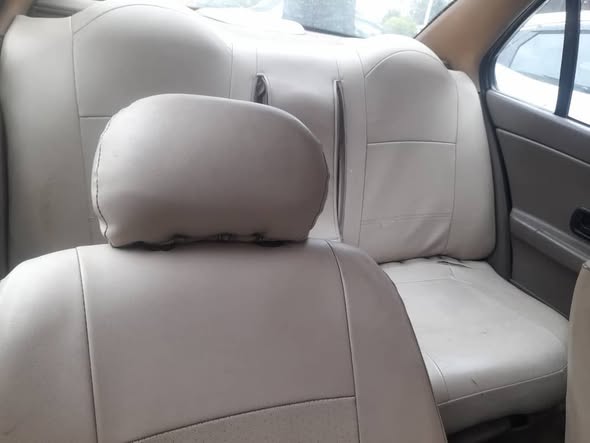 شام شام 2008 - صورة 3