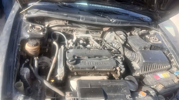 كيا شوما 2005 - صورة 5