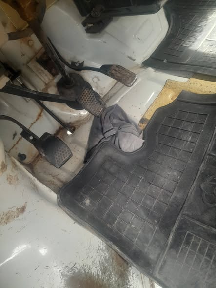 هافي ميني 2010 - صورة 3