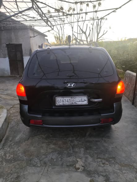هيونداي سنتافي 2005 - صورة 4