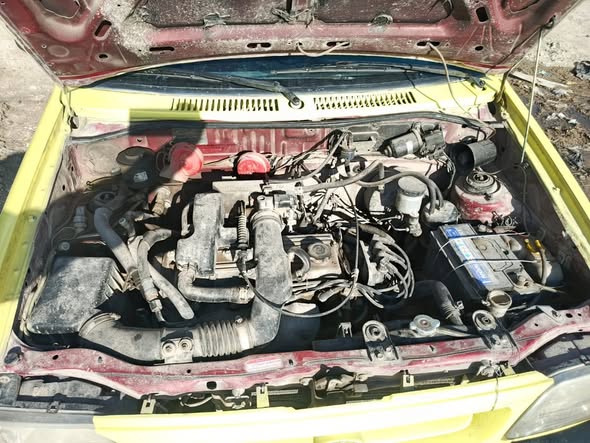 سايبا سابة 2010 - صورة 5