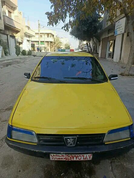 بيجو روى 2008 - صورة 2