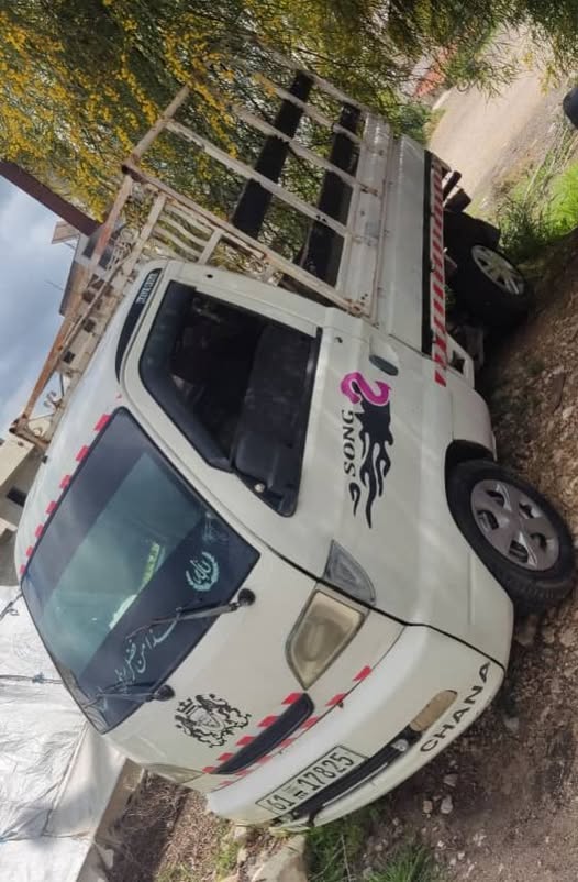 شانجان شانجان 2006