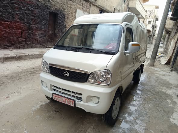 شانا ستار 2011 - صورة 3