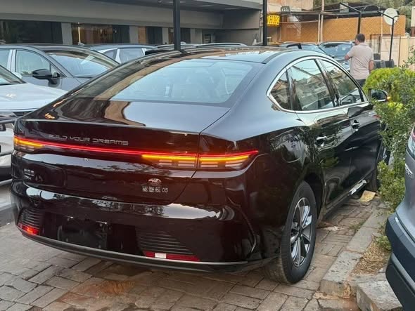 بي واي دي ديستروير 2025 - صورة 4