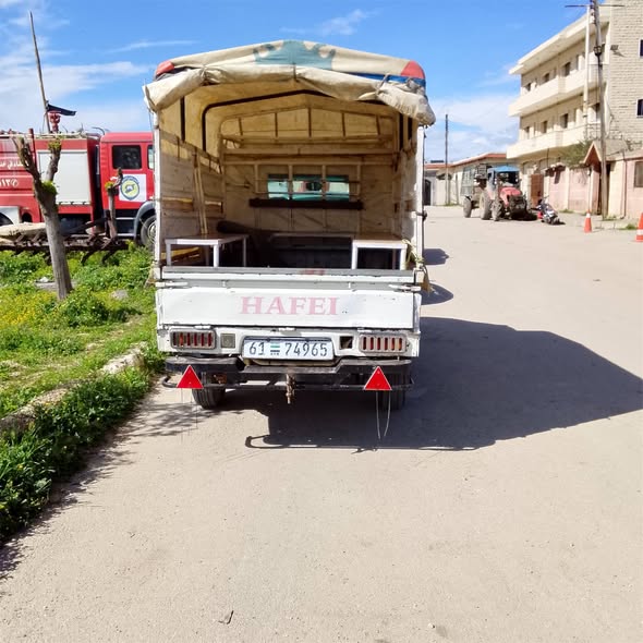 هافي ميني 2010 - صورة 3