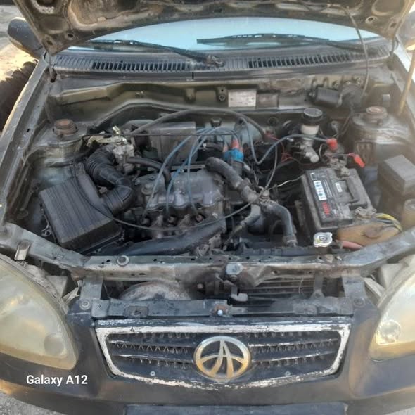 فاو فاو 2006 - صورة 3