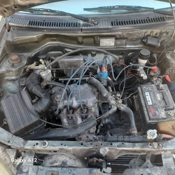 فاو فاو 2006 - صورة 4