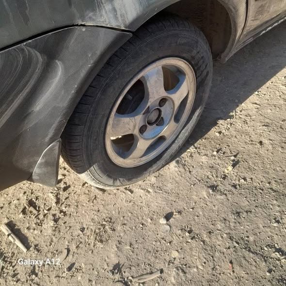 فاو فاو 2006 - صورة 5